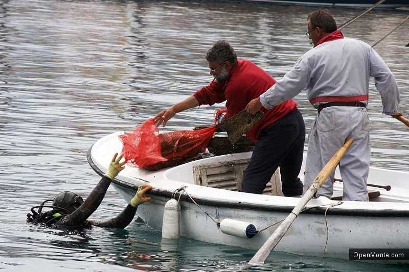 Новости Черногории: В Черногории проведена очистка морского дна