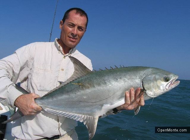О Черногории: Рыбалка в Черногории: &laquo;белые&raquo; рыбы, что попадаются в Адриатике