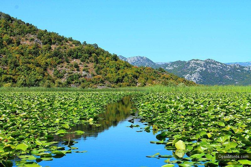 Отдых в Черногории: Прогулки по Скадарскому озеру