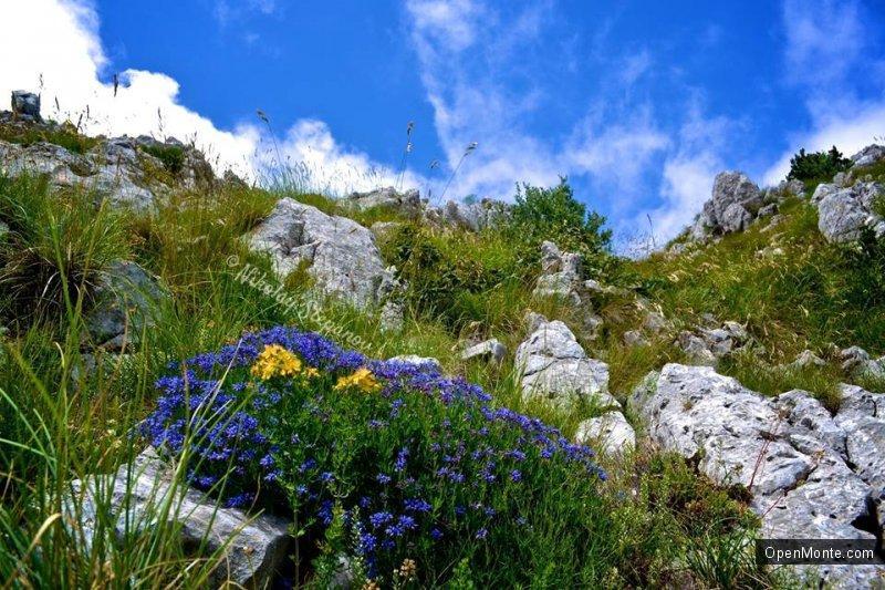 О Черногории: Восхождение на гору Румия простое и доступно всем
