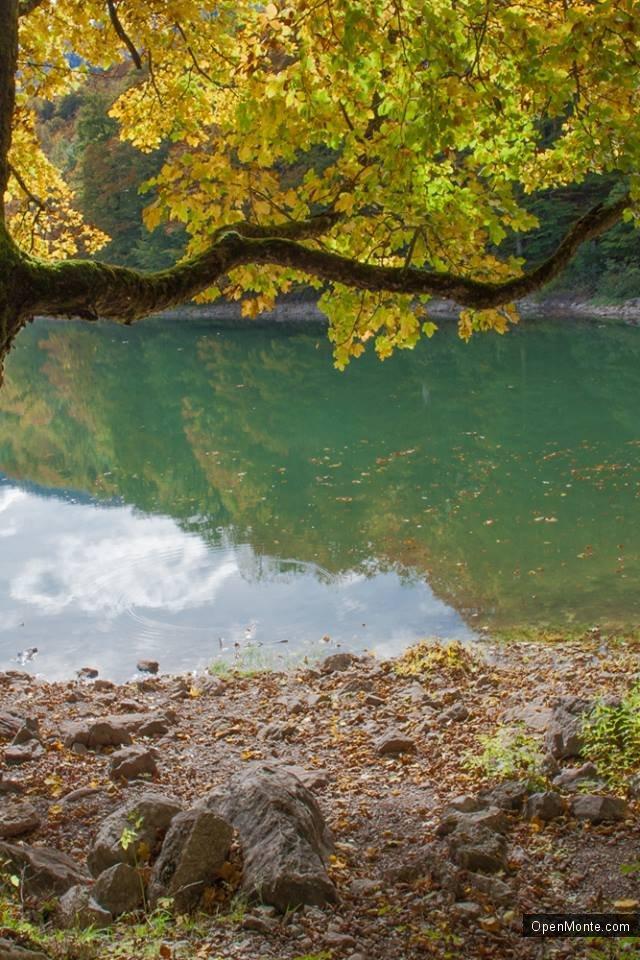 Фото Черногории: О Черногории: Београдское озеро. Национальный парк