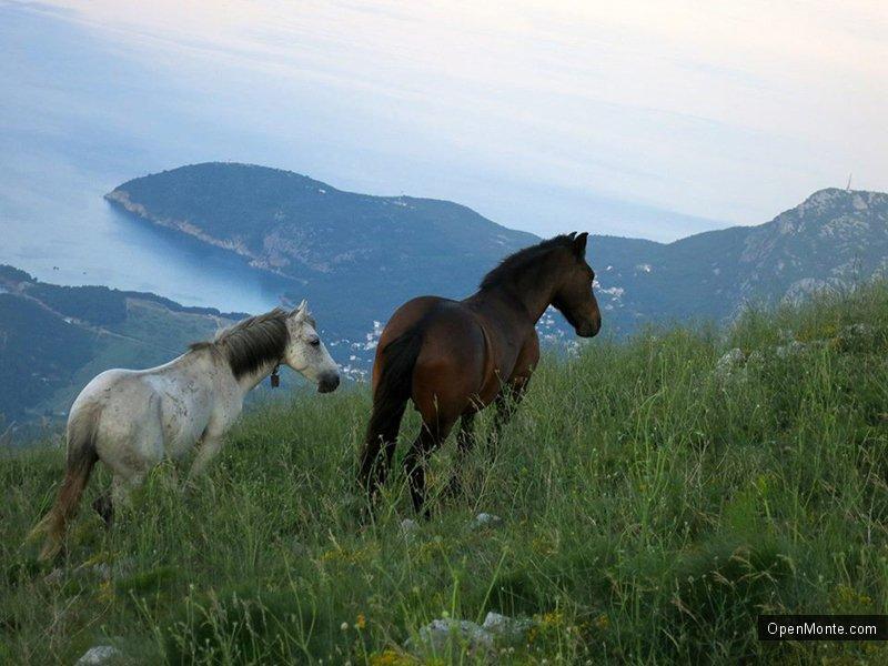 Фото Черногории: Закат на Врсуте: фотоотчет
