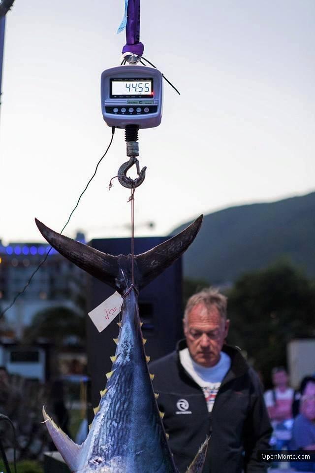 Ovo je interesantno: Фото Черногории: &laquo;Big game fishing Budva&raquo; в Черногории: нереальной красоты и величины тунцы в фото и видео