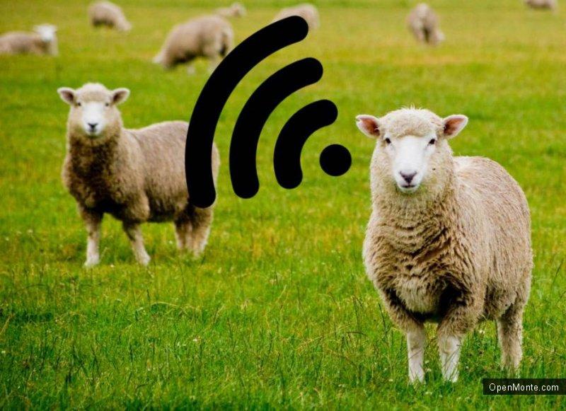 Это интересно: Ирландский фермер решил пасти овец при помощи беспилотника