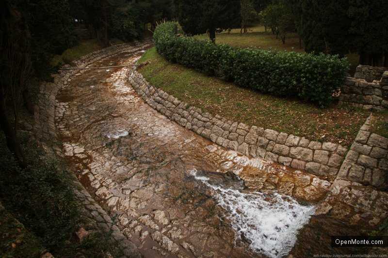 Фото Черногории: Окрестности Св. Стефана, дождливый день и энты в фотографиях Виля Равилова