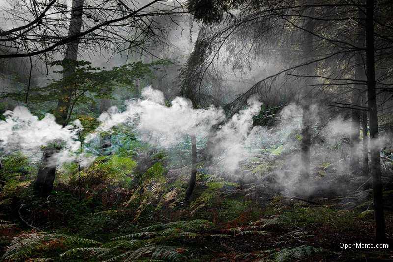Это интересно: О Черногории: Таинственный и загадочный лес на снимках Элли Дэвис