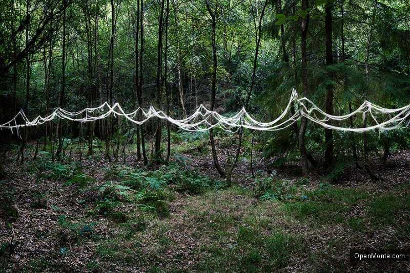 Это интересно: О Черногории: Таинственный и загадочный лес на снимках Элли Дэвис