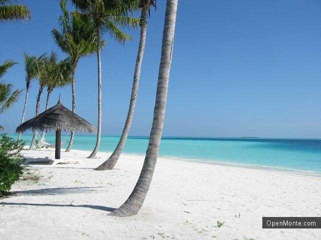 Партнеры: Туры на Мальдивы: особенности отдыха на райских островах