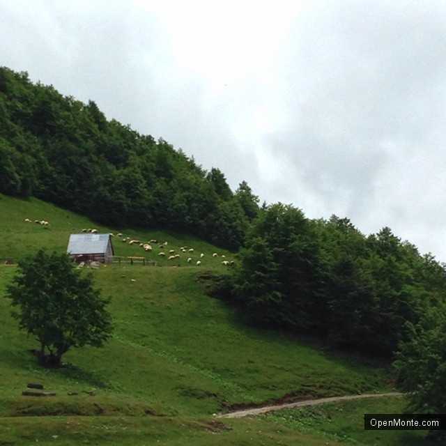 Фото Черногории: О Черногории: Лучшие 30 фото Черногории из Instagram: сборник №7