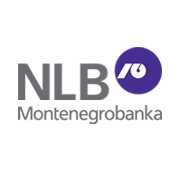 Бизнес в Черногории: Принимаем на сайтах оплату картами с выводом денег в Черногорию