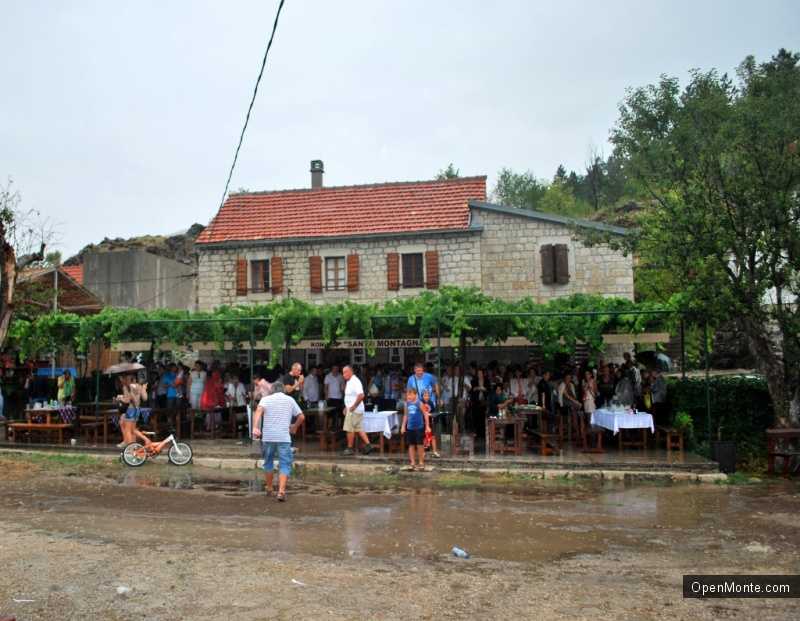 Фото Черногории: Из Негушей в Рисан