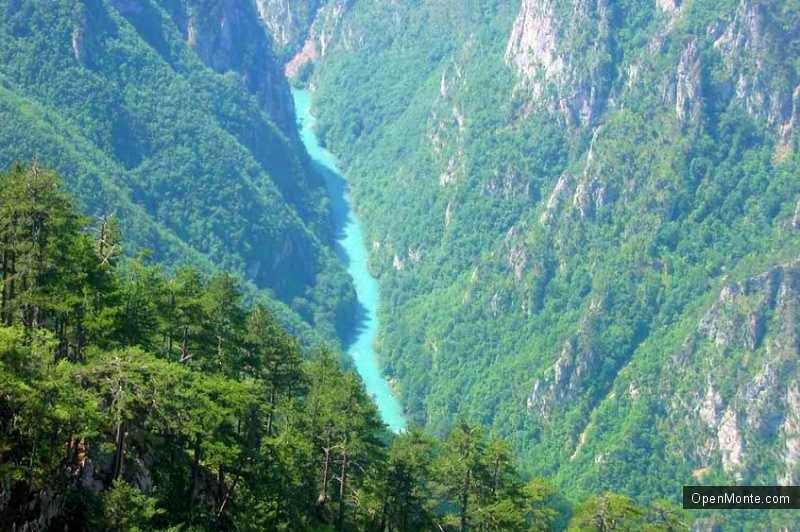 О Черногории: Река Тара в Черногории