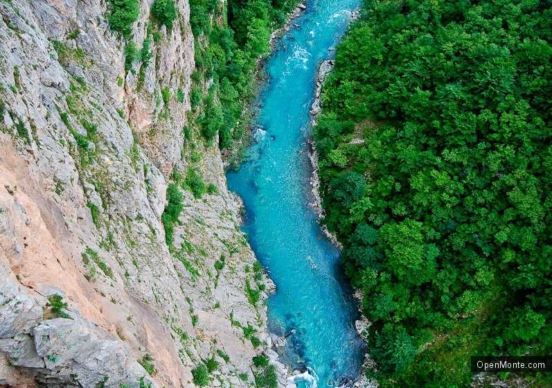 О Черногории: Река Тара в Черногории