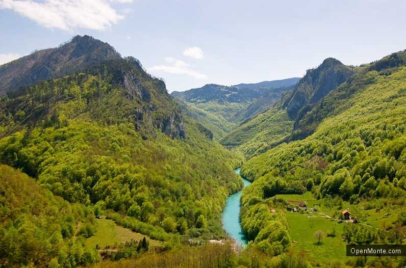 Отдых в Черногории: Сколько стоит отдых в Черногории