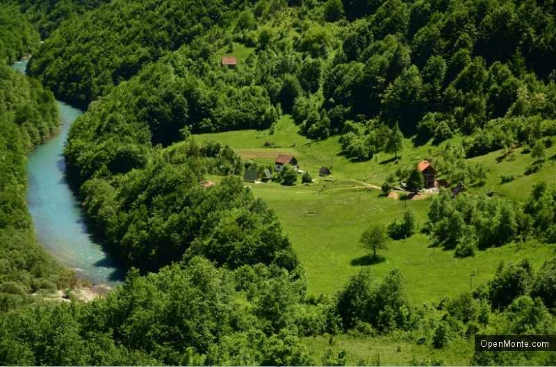 О Черногории: Сельское хозяйство в Черногории