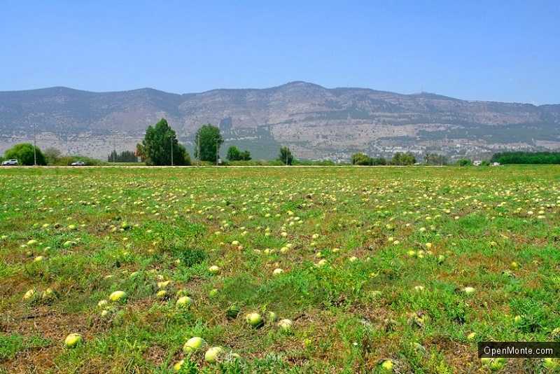 О Черногории: Сельское хозяйство в Черногории
