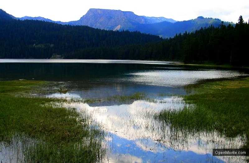 Отдых в Черногории: Черное озеро в Черногории