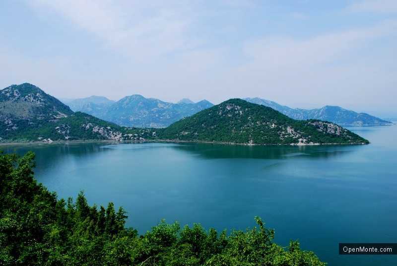 О Черногории: Скадарское озеро в Черногории