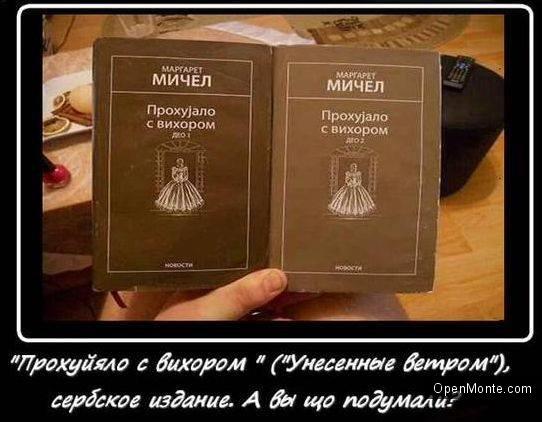 О Черногории: Этот занятный сербский язык…