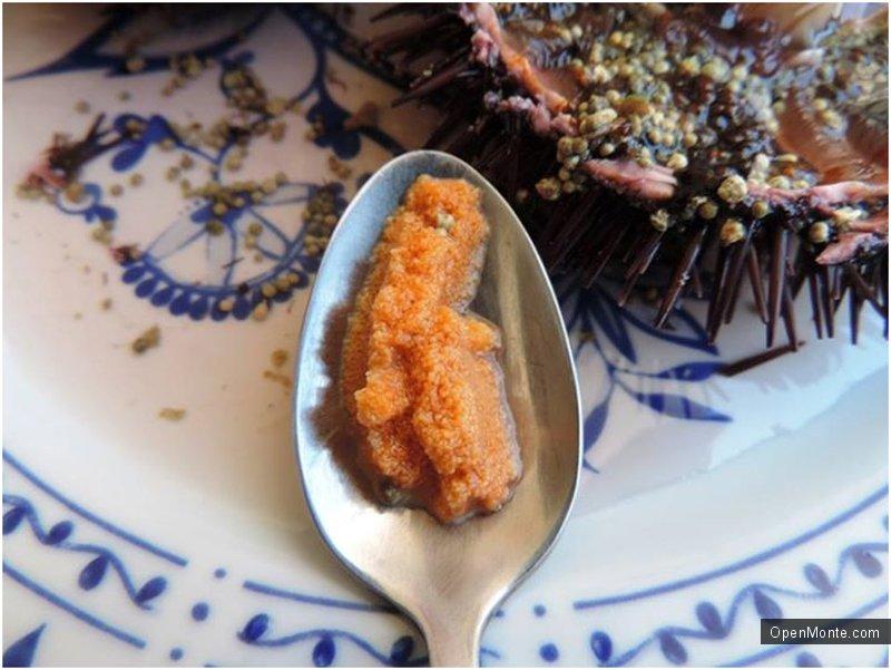 Проживание в Черногории: О Черногории: Как съесть ежа