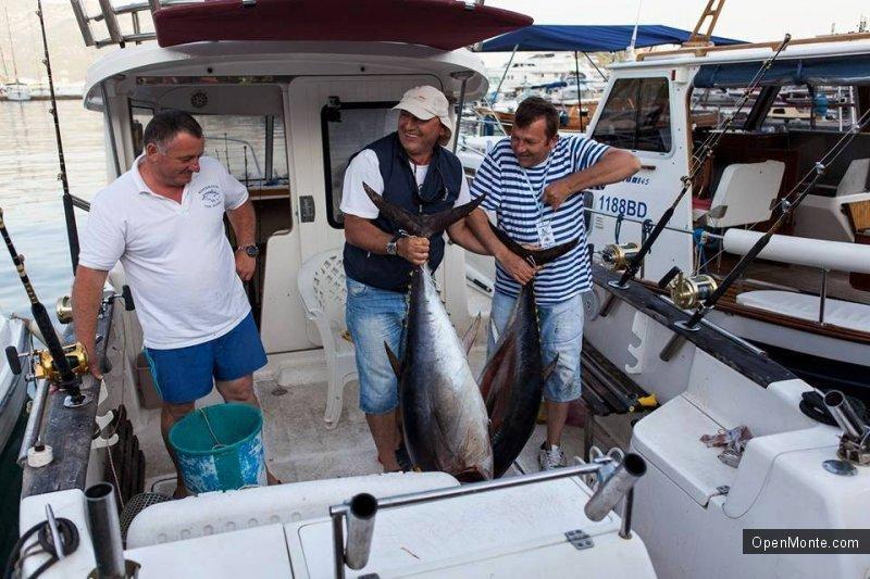 Ovo je interesantno: Фото Черногории: &laquo;Big game fishing Budva&raquo; в Черногории: нереальной красоты и величины тунцы в фото и видео