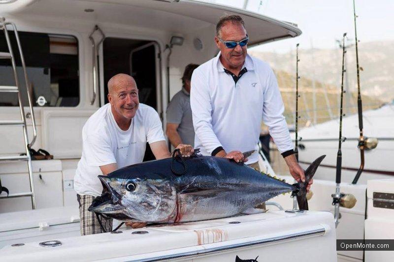 Фото Черногории: «Big game fishing Budva» в Черногории: нереальной красоты и величины тунцы в фото и видео
