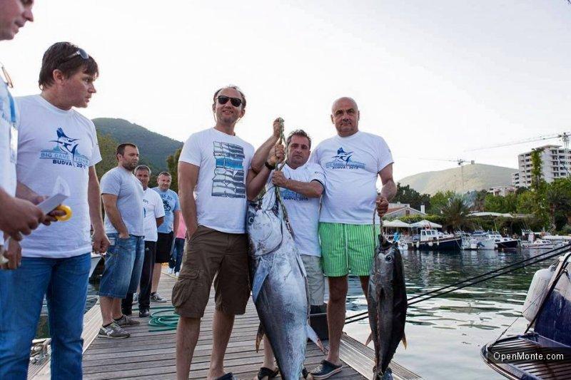 Фото Черногории: «Big game fishing Budva» в Черногории: нереальной красоты и величины тунцы в фото и видео