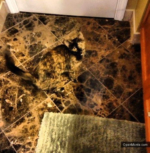 Это интересно: Коты, способные спрятаться на ровном месте