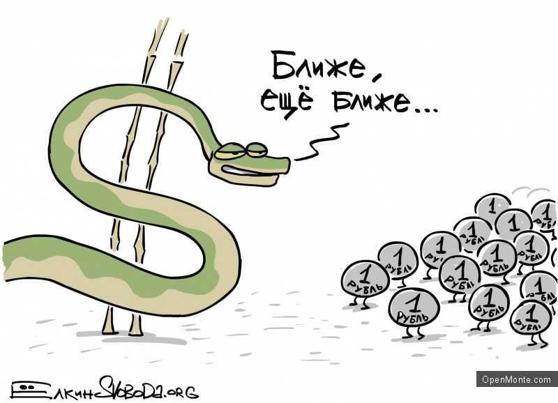 Люди Черногории: О Черногории: Сергей Ёлкин: Пока мне в Черногории все нравится