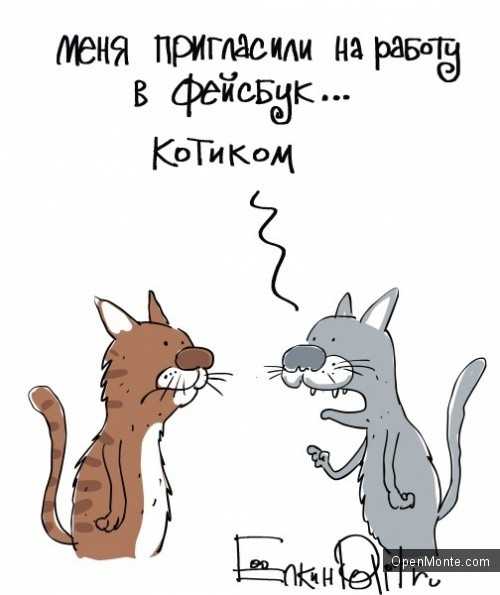 Люди Черногории: О Черногории: Сергей Ёлкин: Пока мне в Черногории все нравится