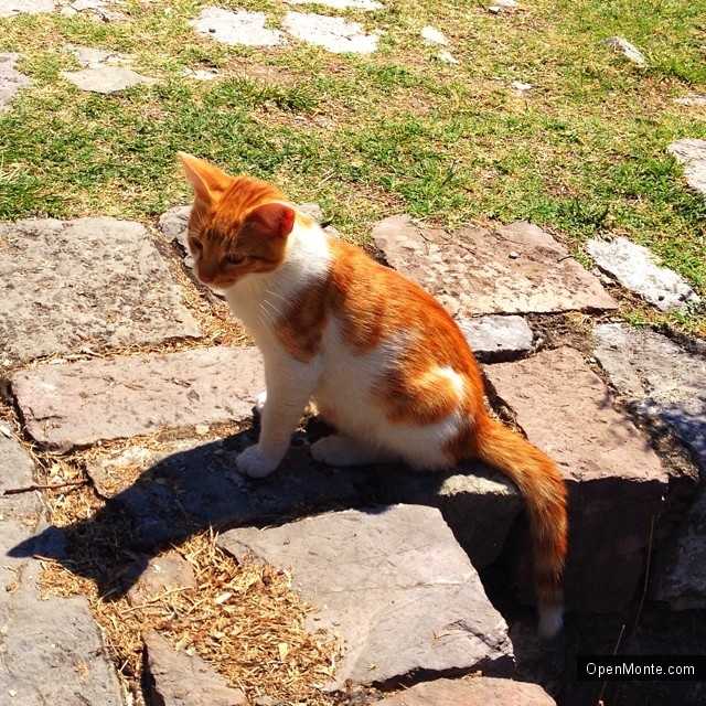 О Черногории: Лучшие 30 фото Черногории из Instagram: сборник №11