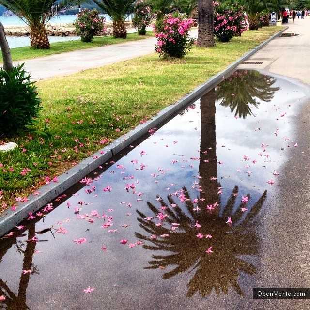 Фото Черногории: О Черногории: Лучшие 30 фото Черногории из Instagram: сборник №7