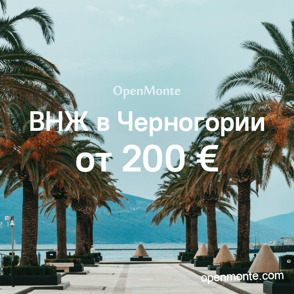 vnz-2019-sq vnz-2019-sq