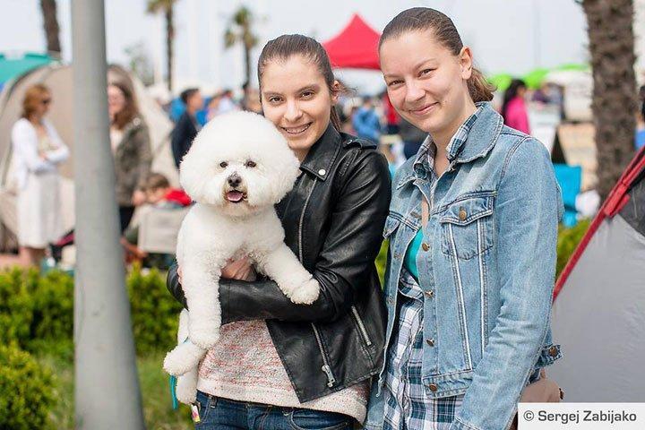 Проживание в Черногории: Фотообзор с международной выставки собак в Черногории &laquo;BAR Adriatic Cup 2015&raquo;