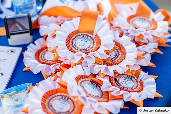 Проживание в Черногории: Фотообзор с международной выставки собак в Черногории &laquo;BAR Adriatic Cup 2015&raquo;