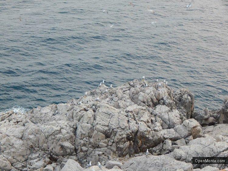 Проживание в Черногории: Члены клубов &laquo;Orjen Outdoor&raquo; и &laquo;Niskogorci&raquo; провели спасательную операцию на Мамуле