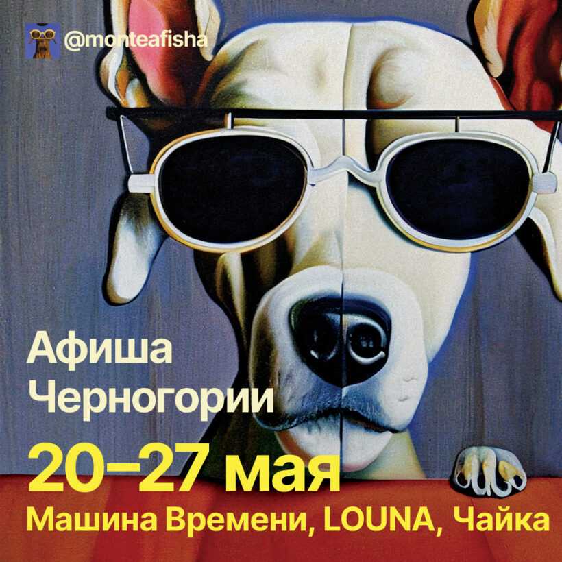 Концерты в Черногории 2023: Дельфин, LOUNA, Машина Времени в Белграде